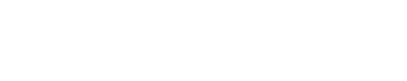 Bagvero